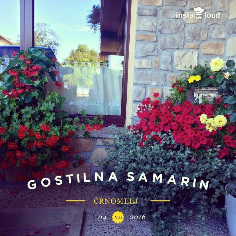 Hotel Samarin Črnomelj エクステリア 写真