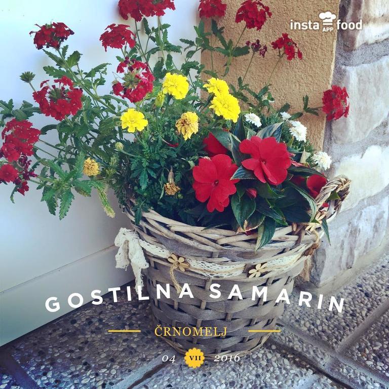 Hotel Samarin Črnomelj エクステリア 写真
