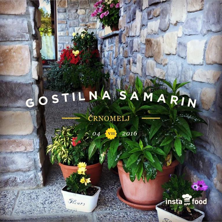 Hotel Samarin Črnomelj エクステリア 写真