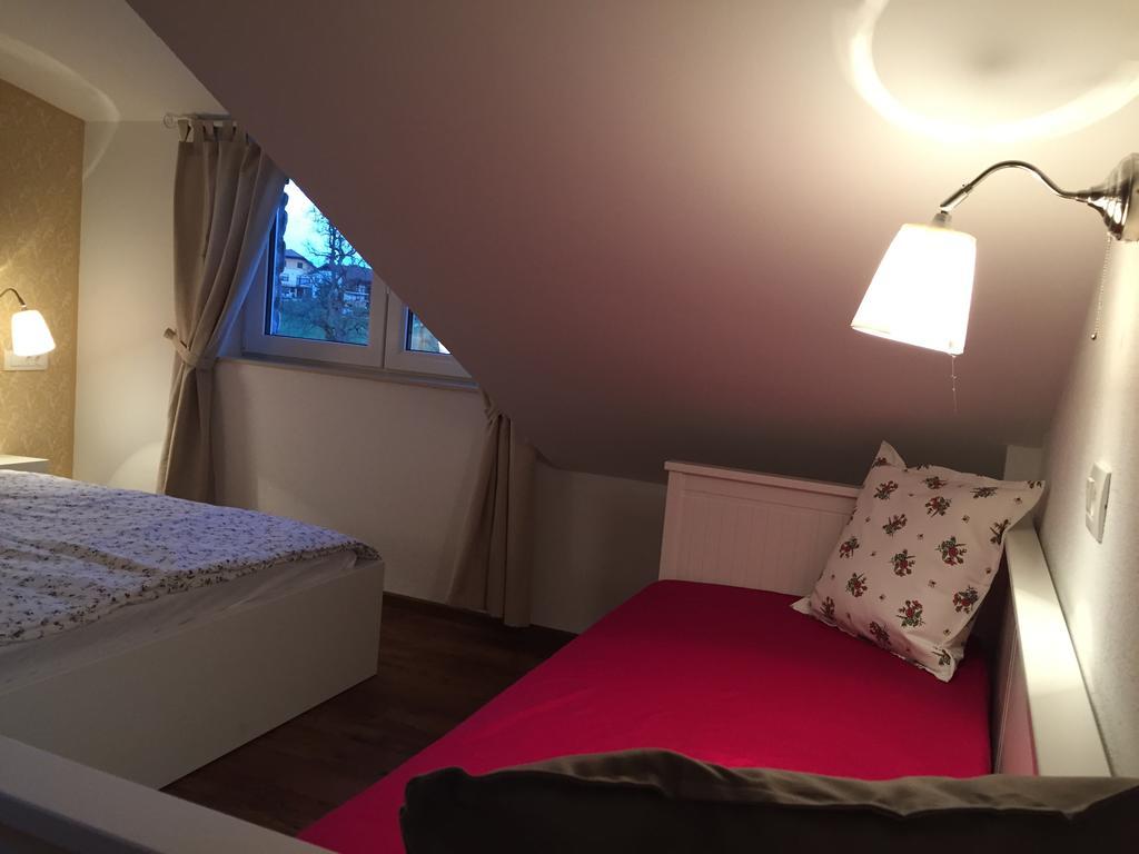 Hotel Samarin Črnomelj エクステリア 写真